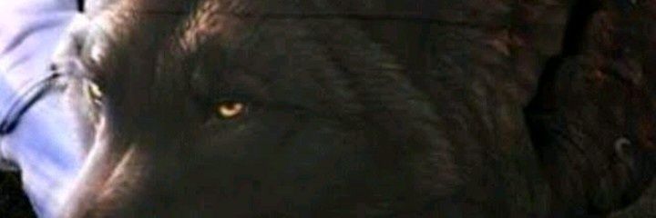 jc_campbel's profile banner image