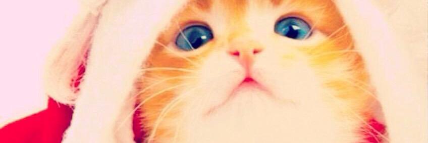 MioYeah32's profile banner image