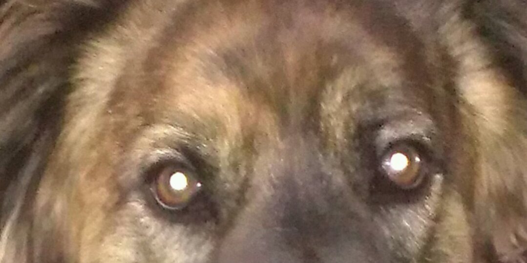 annfetzer's profile banner image
