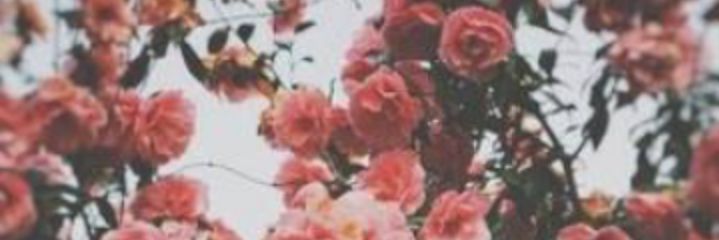 JaaaySmmiitth's profile banner image