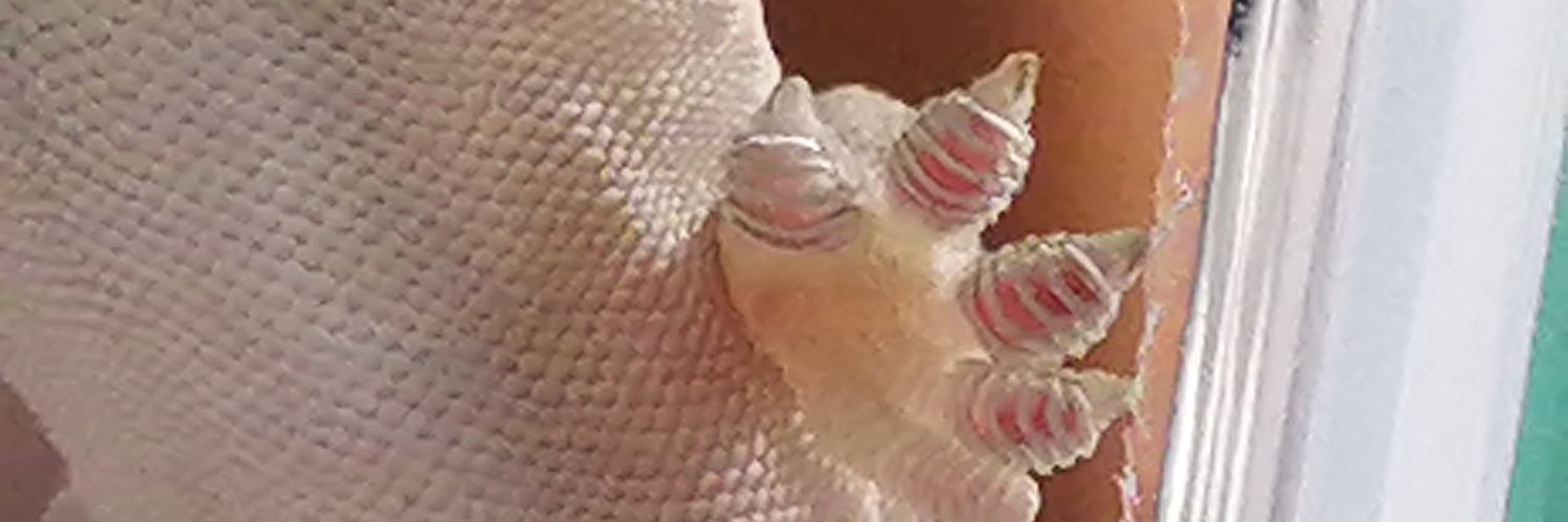 agccem's profile banner image