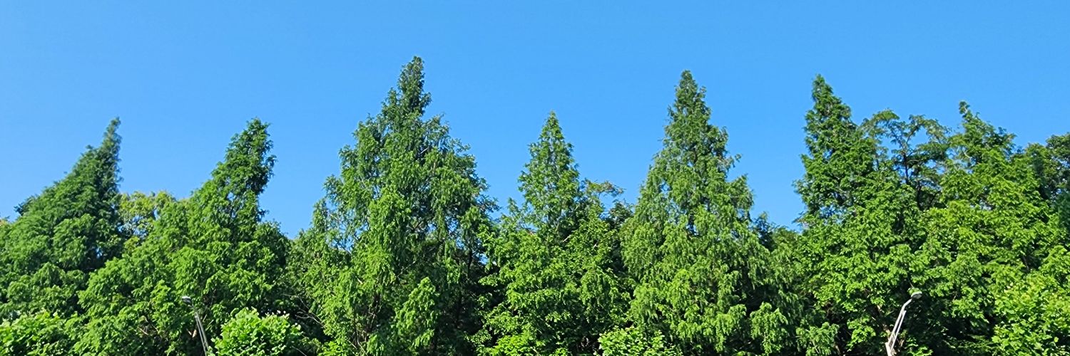 625_WT's profile banner image