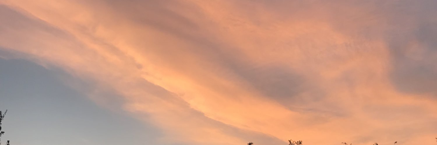 QueenBA94's profile banner image