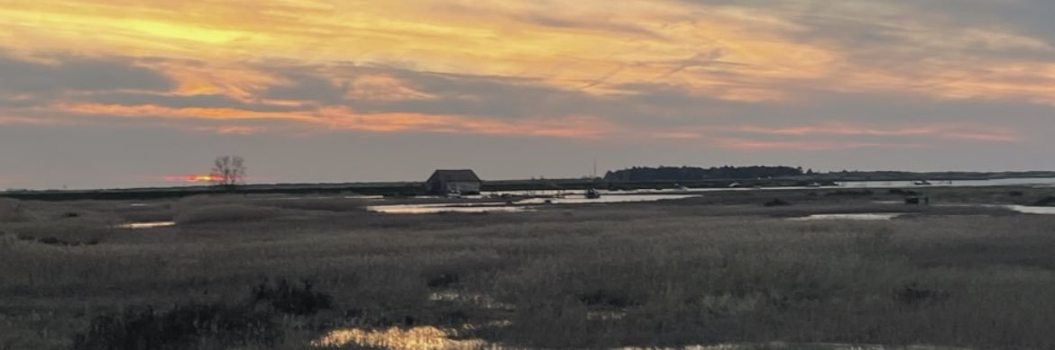 Rachel Burnham banner