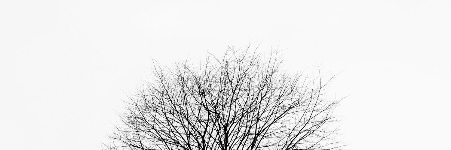 yybbbbb's profile banner image