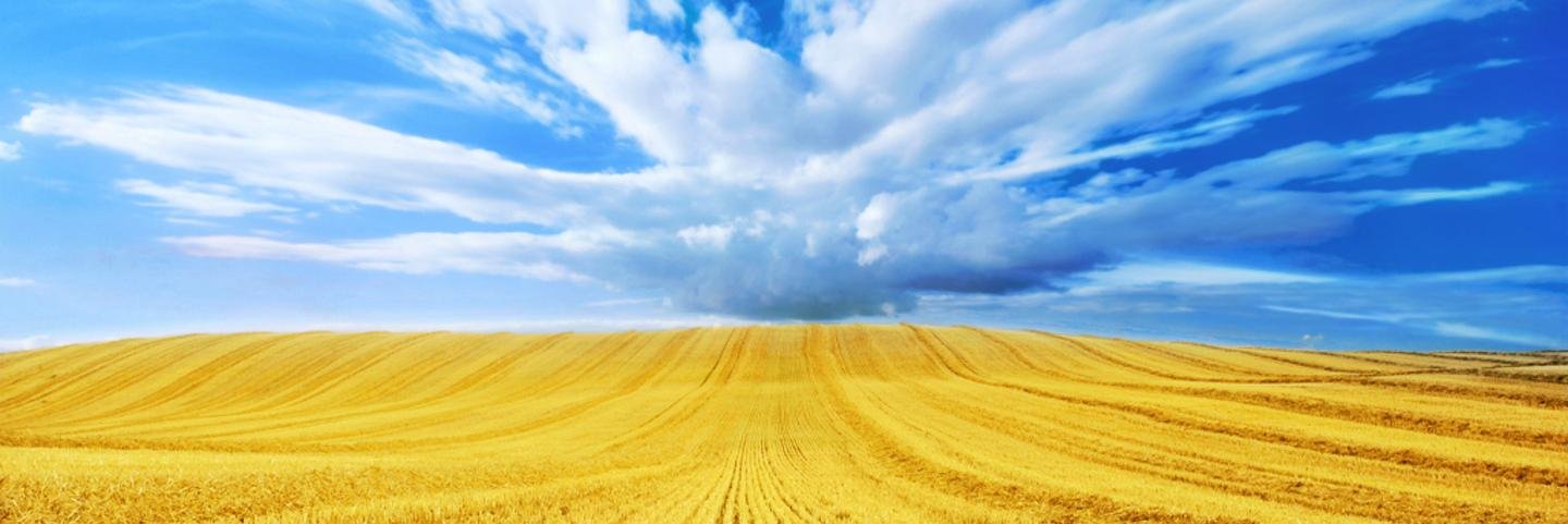 AleksejG1's profile banner image