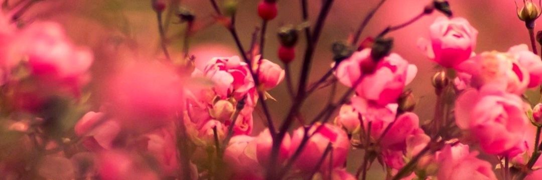 grabotmar's profile banner image