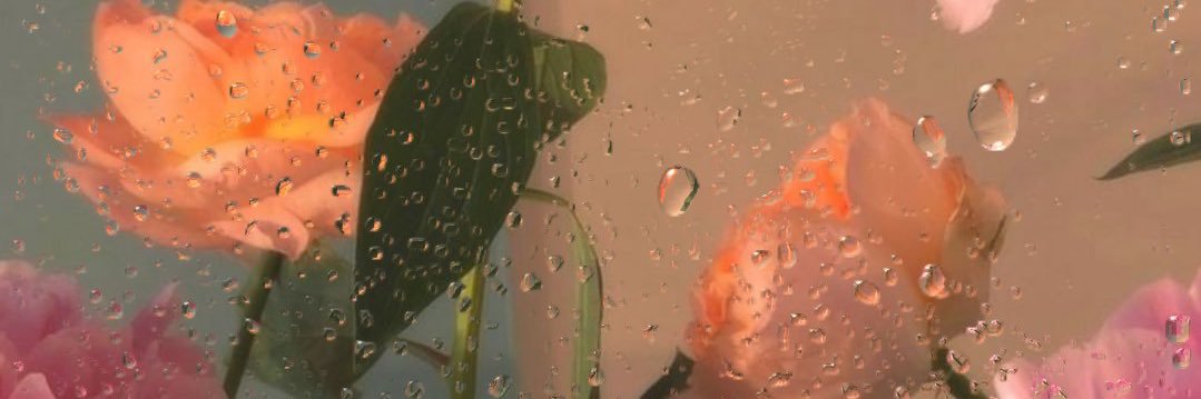 naoswift's profile banner image
