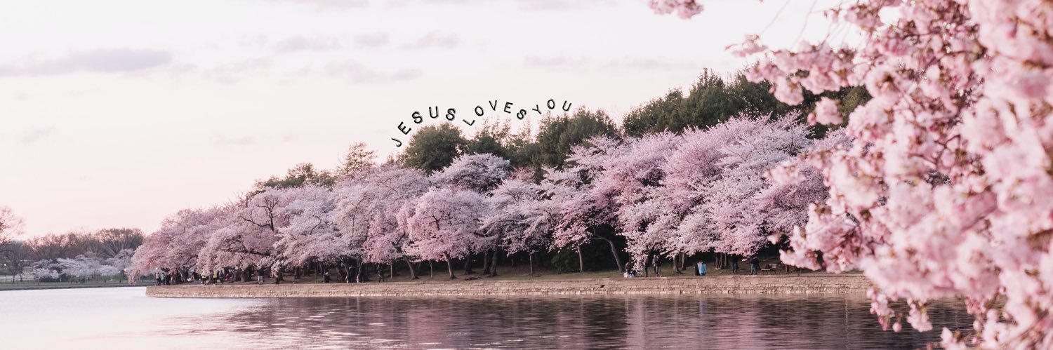 Dano_Hundo's profile banner image