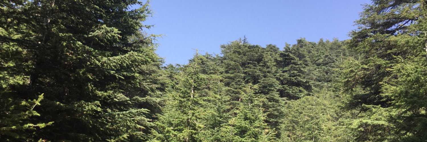 Choucri Haddad banner