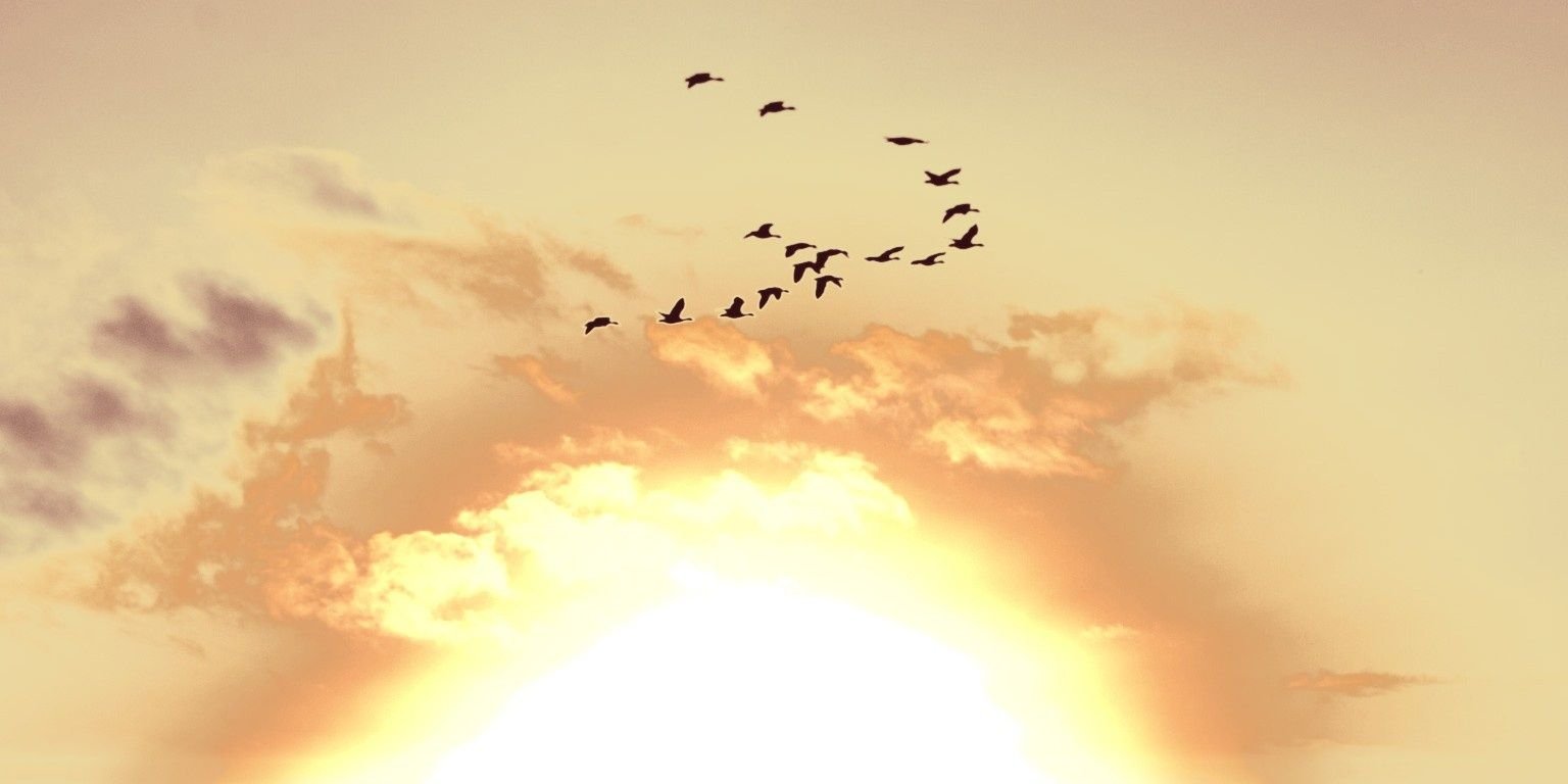 Ebru Karaman banner