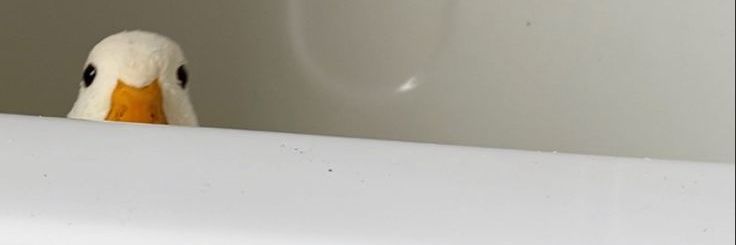 dayoftheyou's profile banner image