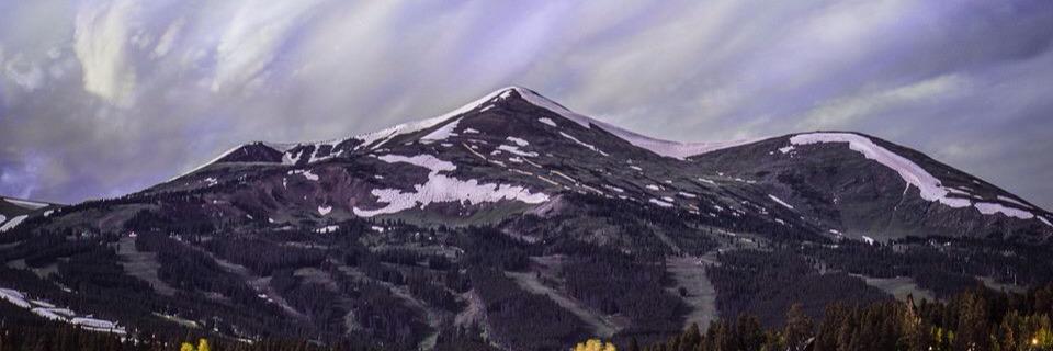 Arthur Balluff banner