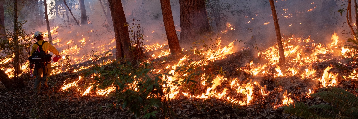 Jacob Margolis banner