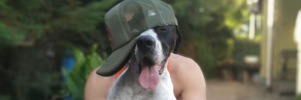 gallincross's profile banner image
