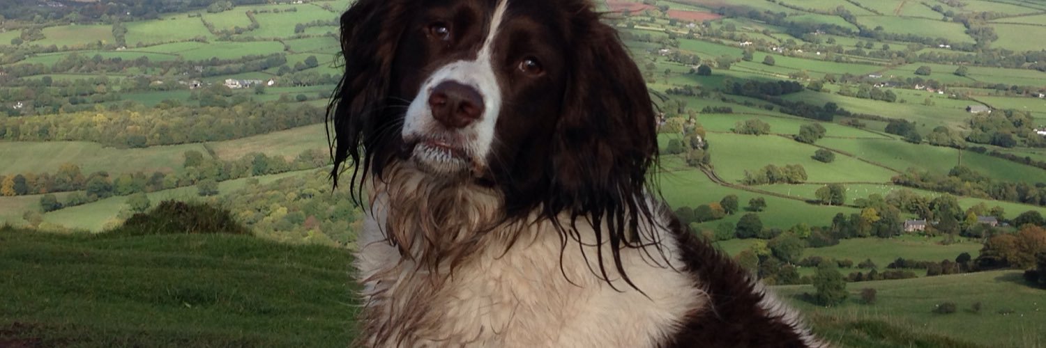 ArgusRutherford's profile banner image