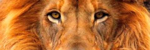 TheJoelWall banner