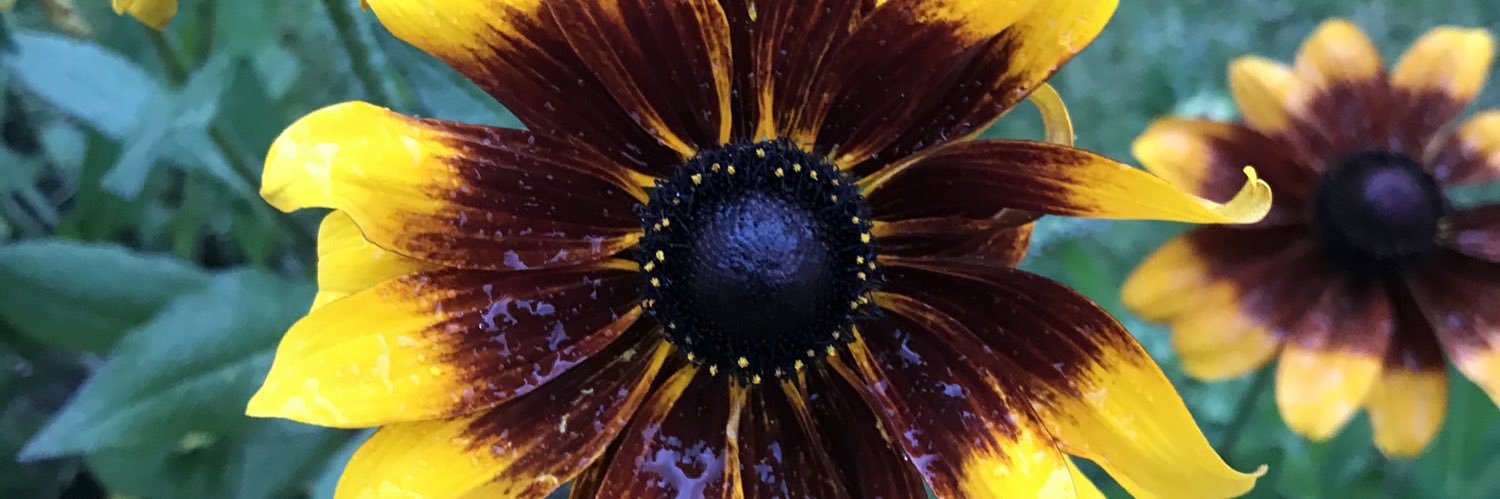 CurlyChloe_'s profile banner image