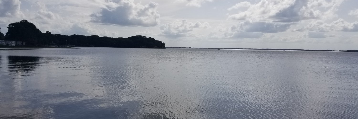 debra cincioni banner