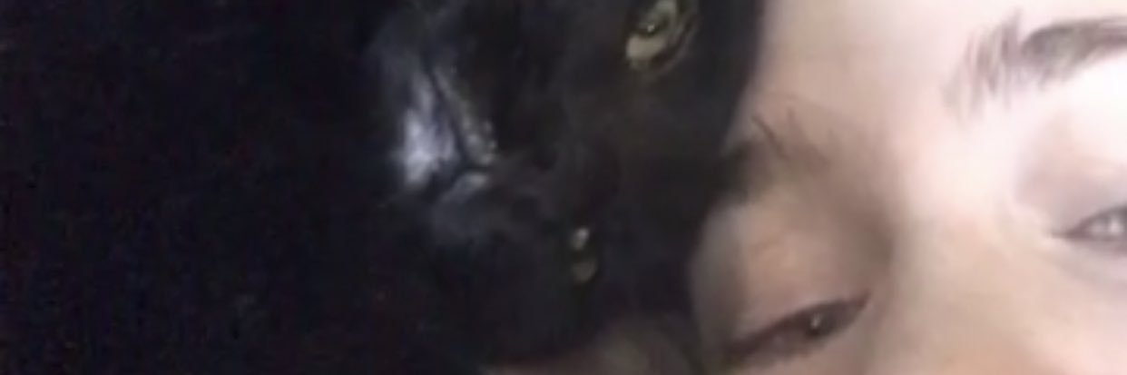 Garfield_Cum's profile banner image