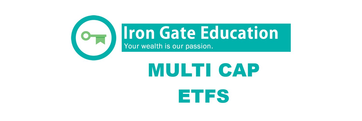 IGEMultiCap's profile banner image