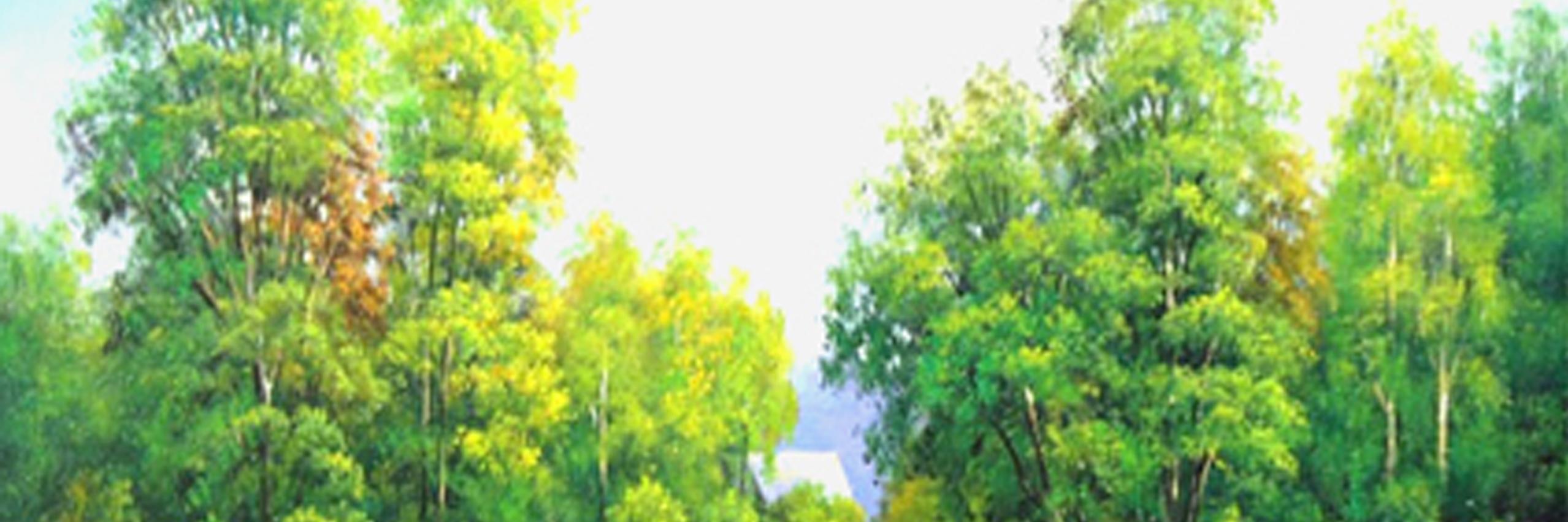 snegir411's profile banner image