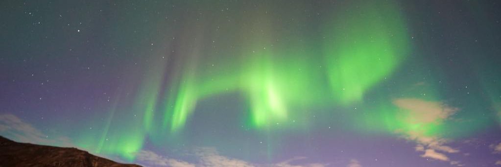 leenightingill's profile banner image