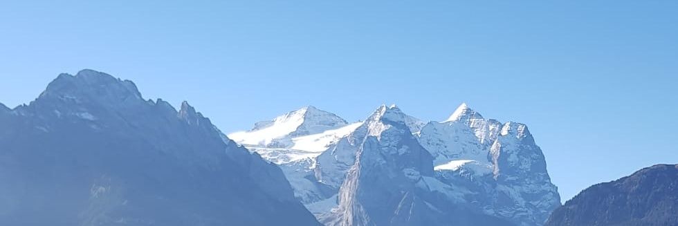 Morgoth🇨🇭🇩🇰 banner