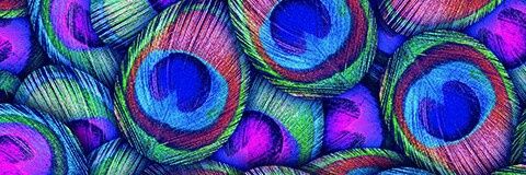 LivaRocio's profile banner image