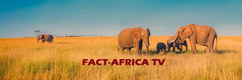 Fact-AfricaTv banner