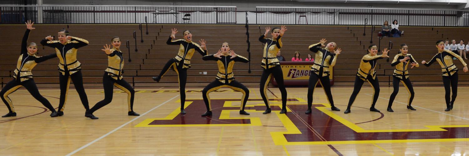 Duluth Marshall DT banner