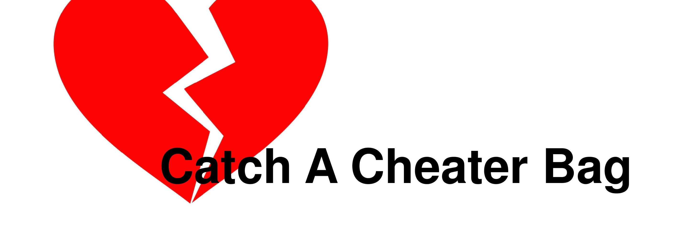 cheaterbag's profile banner image