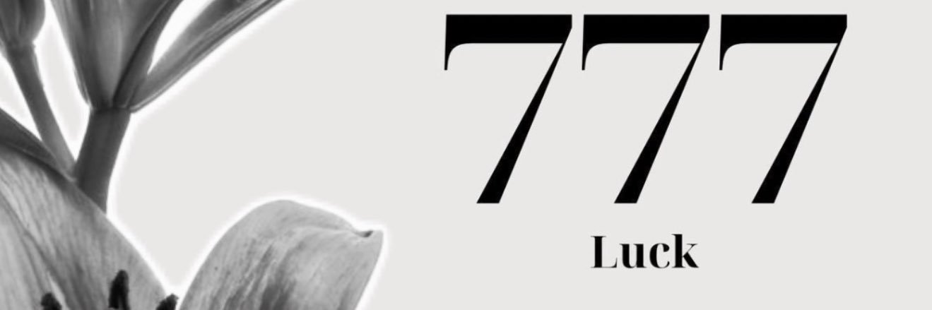 luceritos99's profile banner image