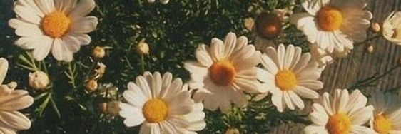 janetvsaya's profile banner image