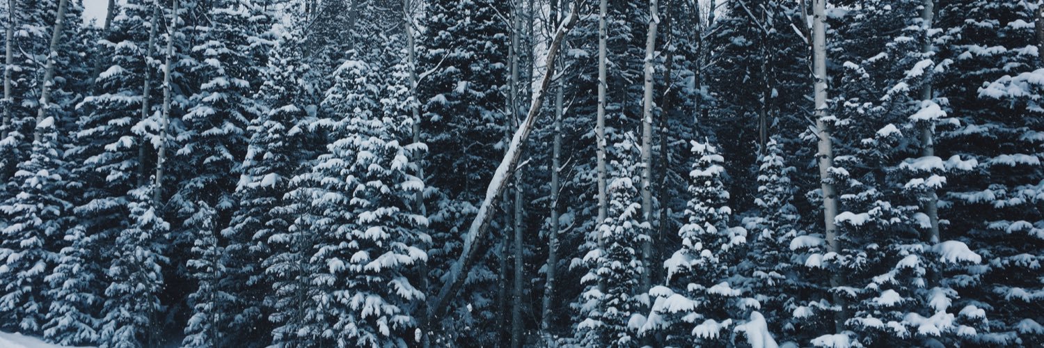 kennedyolsonnn's profile banner image