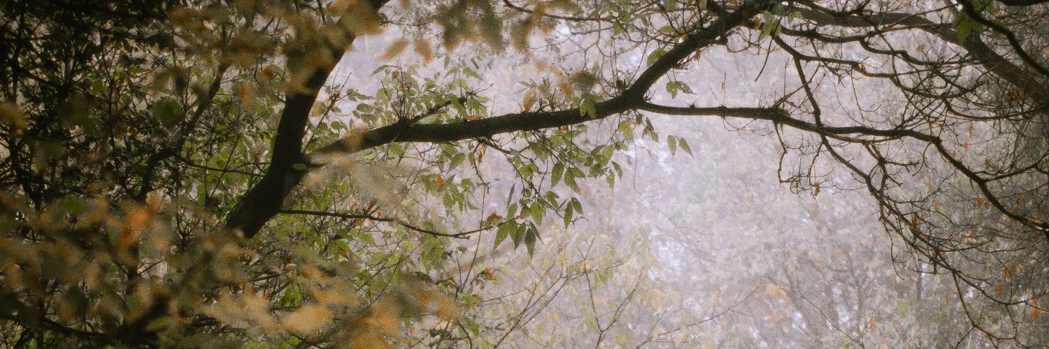 staceydowswell's profile banner image