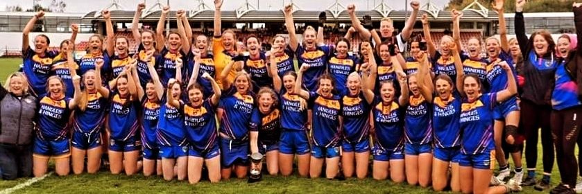 Lisgoold Ladies Football & Camogie Club banner