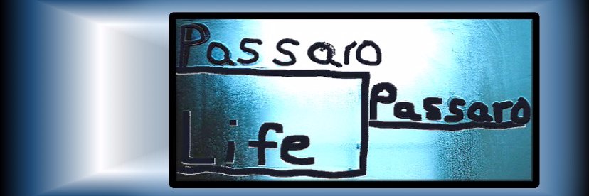 JohnaPassaro's profile banner image