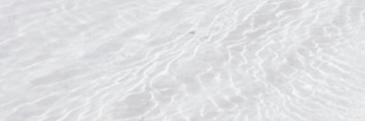 CarolBernat8's profile banner image