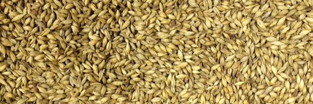 Fermentasters Club banner