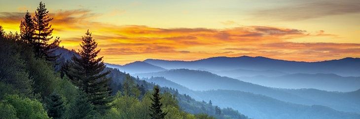 ehparrish1's profile banner image