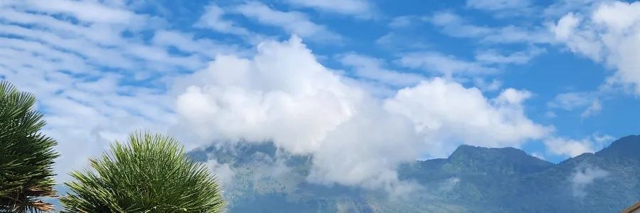 qbuul's profile banner image