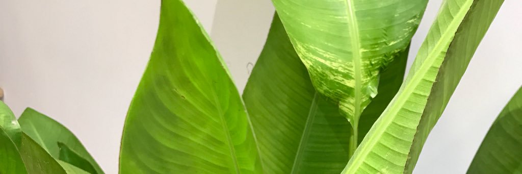 2yebin's profile banner image