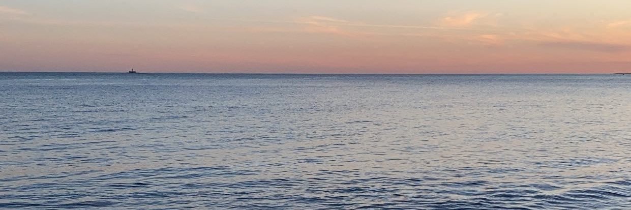 _Liliana_Filipa's profile banner image