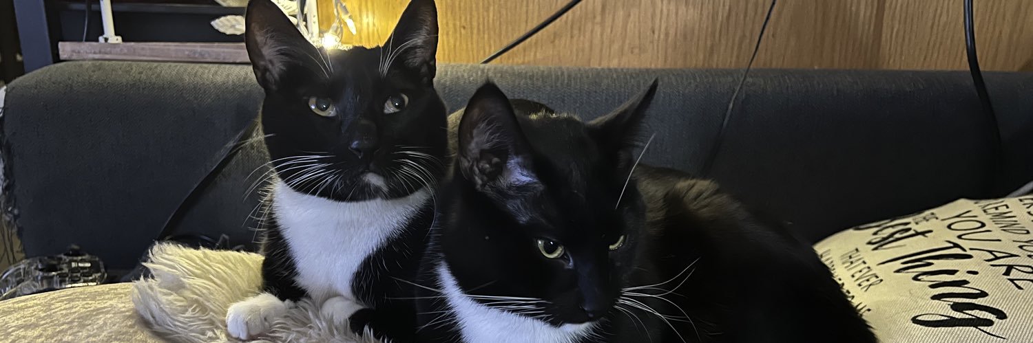 The God Empress banner