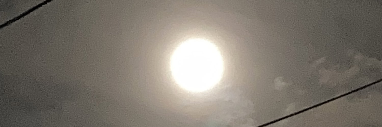 moonskydd's profile banner image