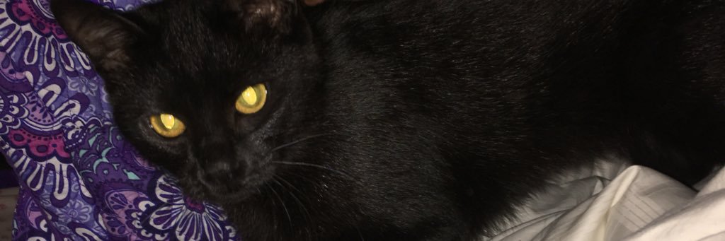 AmberSquishes's profile banner image