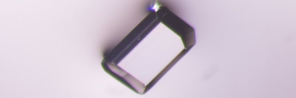 mauramalinka Profile Banner