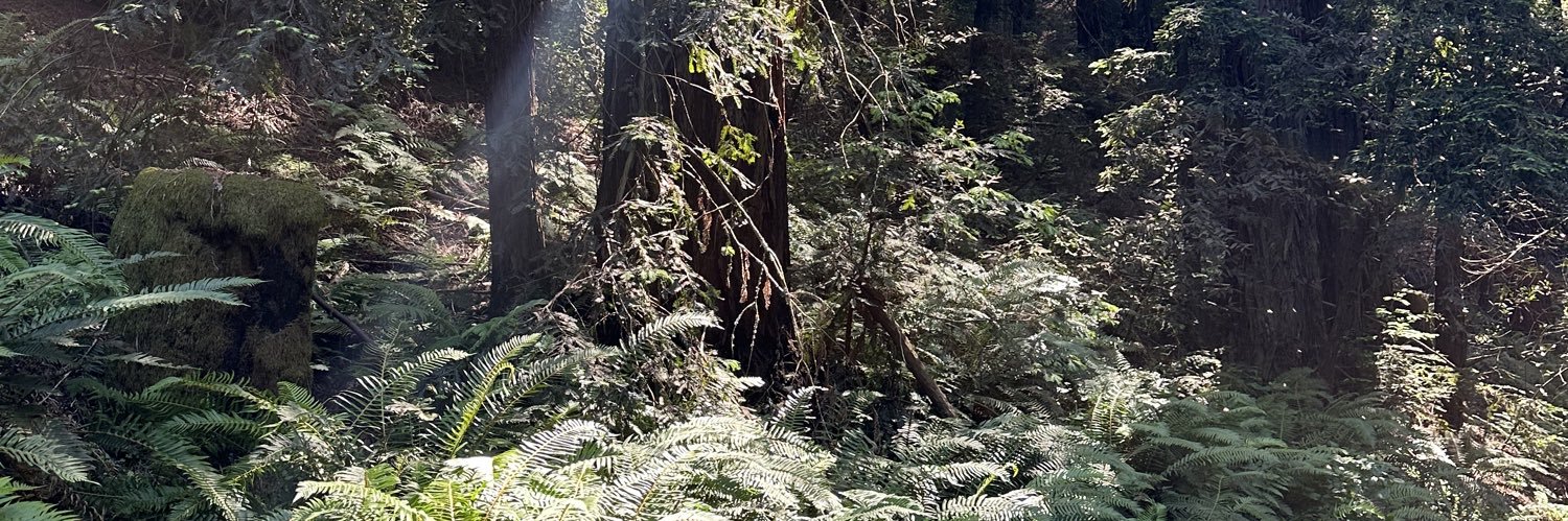 CWolfe76's profile banner image