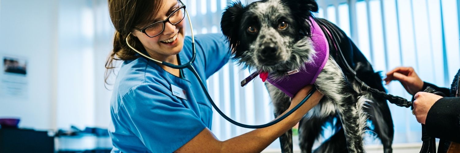 Scarsdale Vets banner